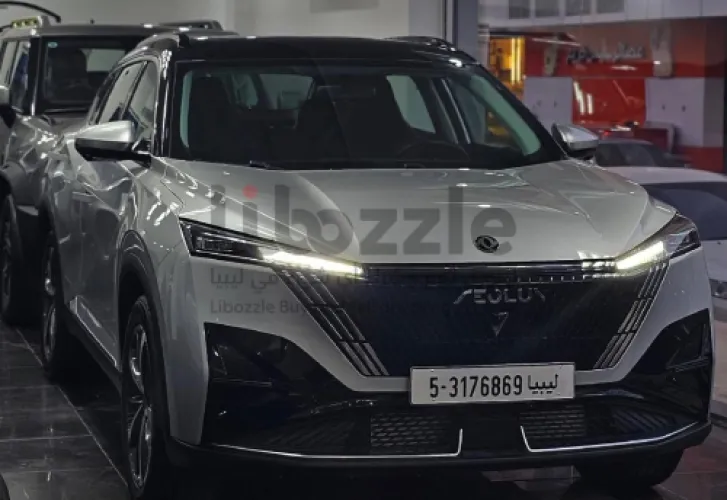 دونج فونق ميج 300 الوكيل