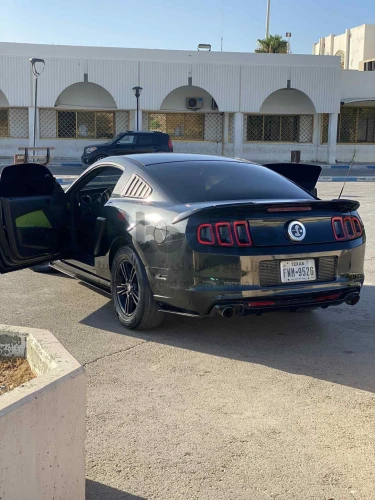موستنج 2014