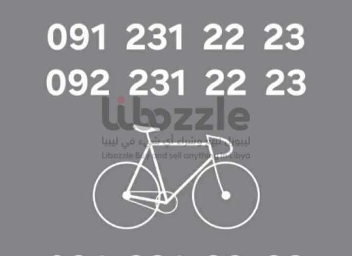 رقمين ممیزین مدار وليبيانا نفس الرقم