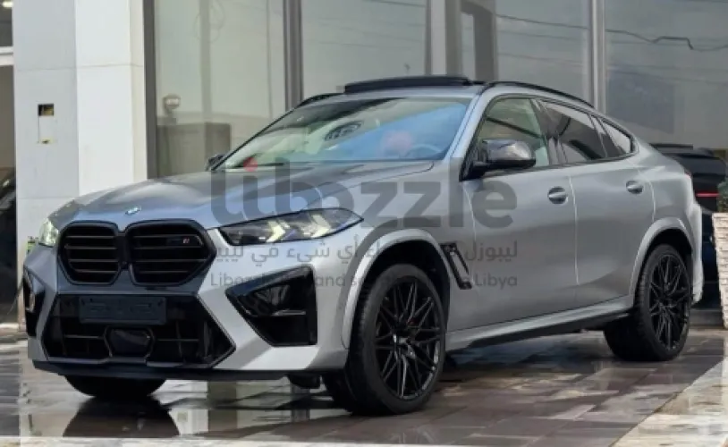 بي ام دبليوX6 M