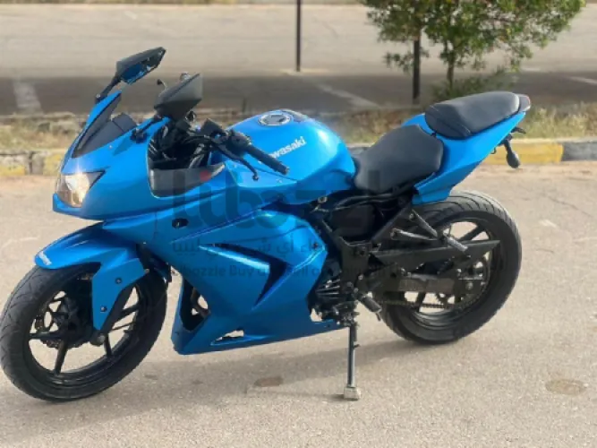 Kawasaki 300