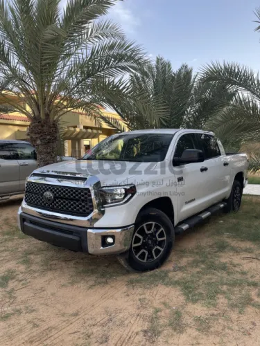 تندرا 2019