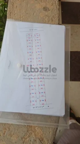 مصراتة طمينه