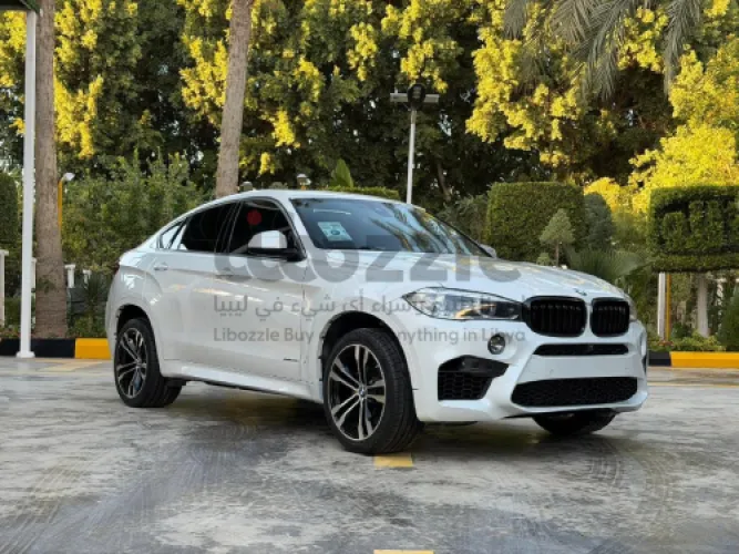 بي ام دبليو X6 2017