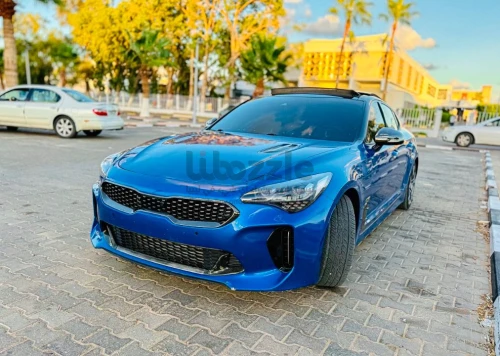 سرت