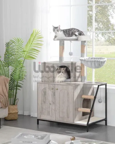 لعبة ومنزل للقطط 🐈🐈⬛