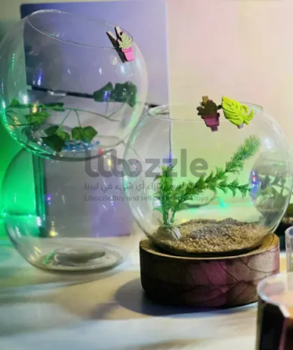 أحواض سمك الفايتر (البيتا) بتصميم أنيق
ومتكامل،