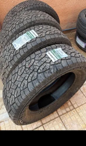 سيريات تاكيتي نص تحجيرة