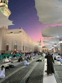 ahmed Sanose batroon