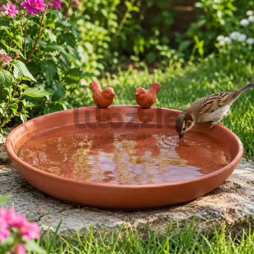 🌿🐦 حوض فخاري لمياه الطيور والعصافير 🏺💧