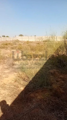 ارض 4000 متر في وادي الربيع المزاوغة