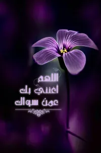 محمد الزرنيخ