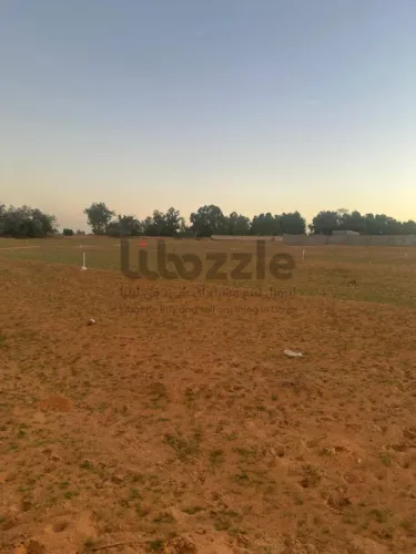 ارض للبيع في وادي الربيع بي الحوالة و الكاش