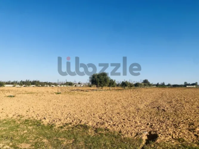 مزرعه للبيع