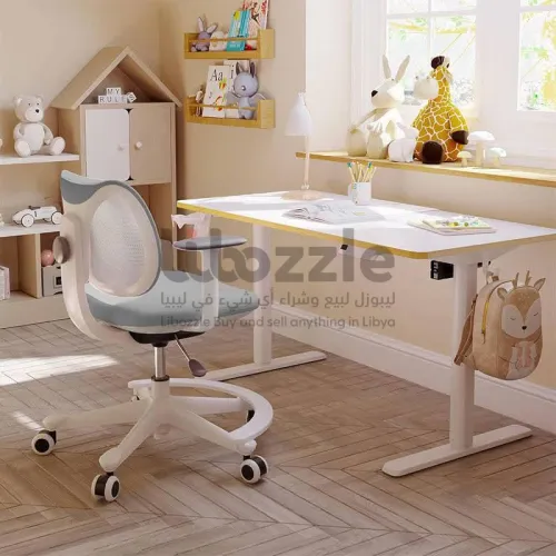 كرسي مكتبي عندي من Flexispot 🇩🇪