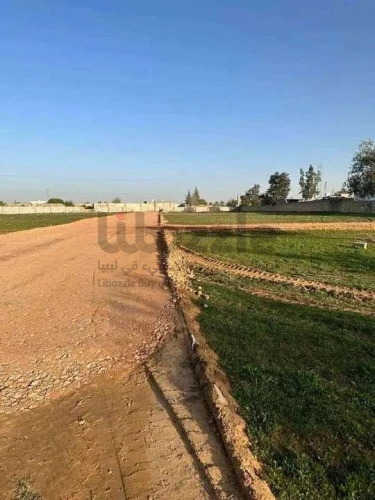 ارض بسعر منافس في وادي الربيع