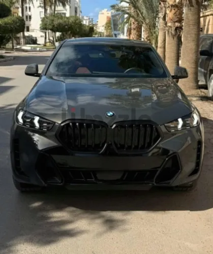 بي ام دبليو X6 2024