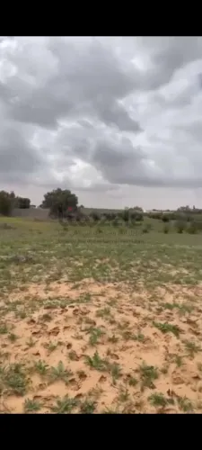 ارض للبيع