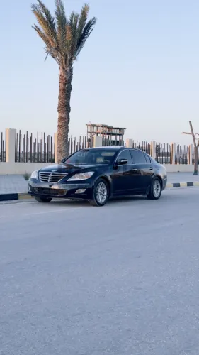 جنسس 2010