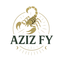 Aziz Fy