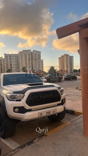 حي دمشق