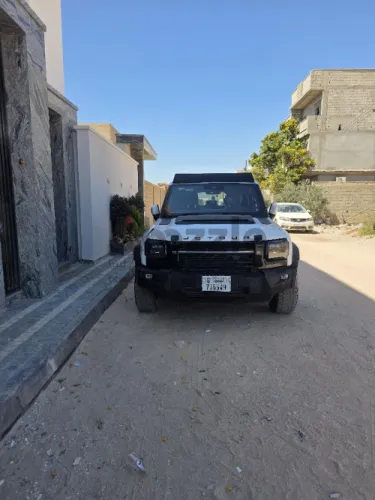جيتزور 2025