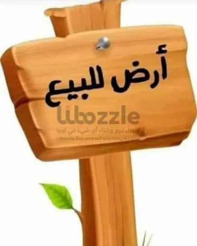 500 متر للبيع بئر العالم