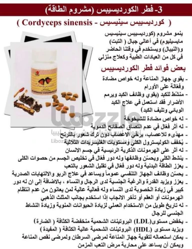 مشروم الطاقة والحيوية والنشاط