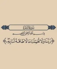 حامد التارقي محمد