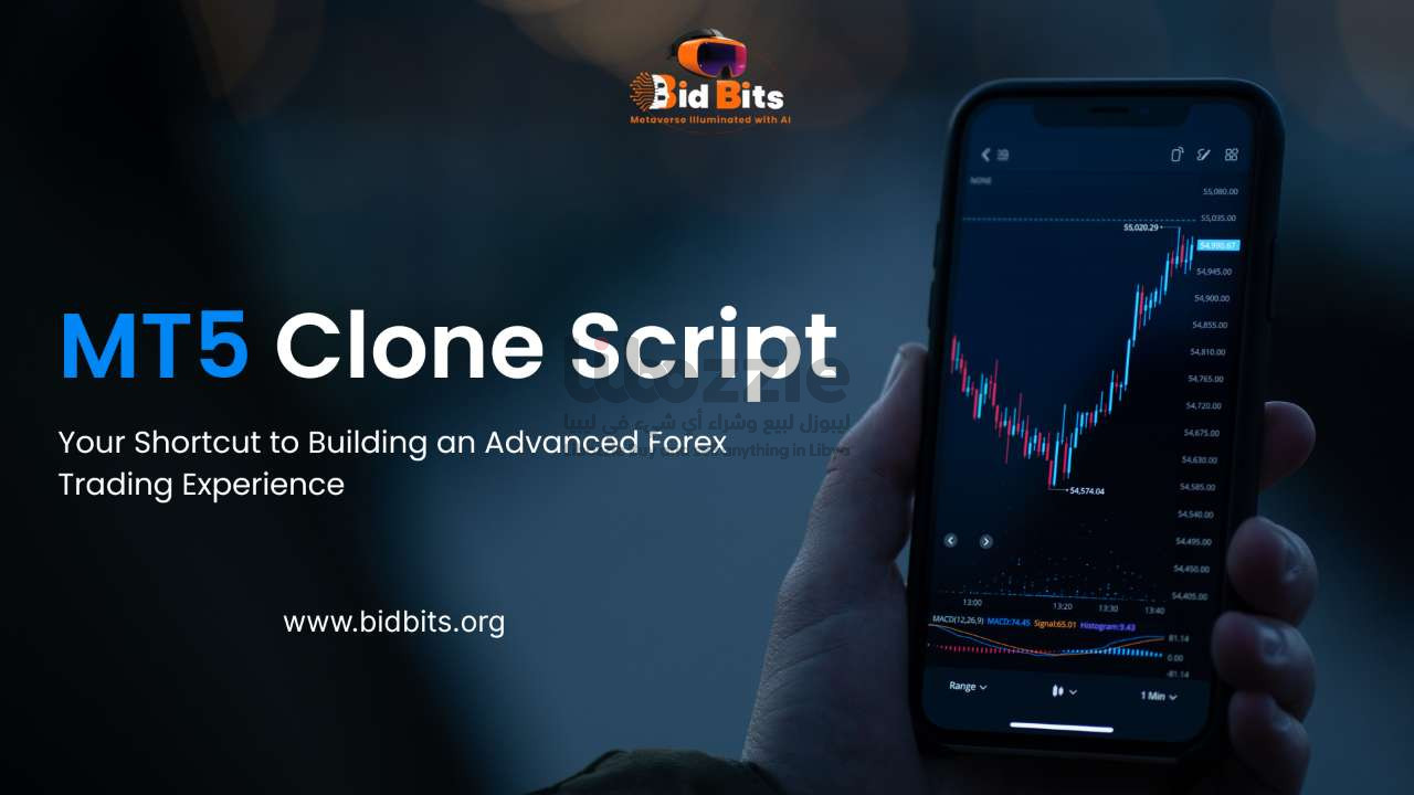 Best MT5 Clone Script Provider In USA | Libozzle