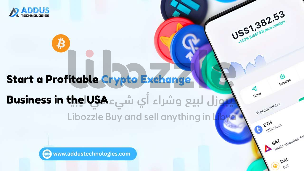 Start a Profitable Crypto Exchange Business in the USA | Libozzle