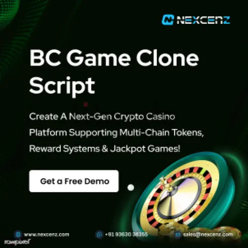BC Game Clone Script To Start Own iGaming