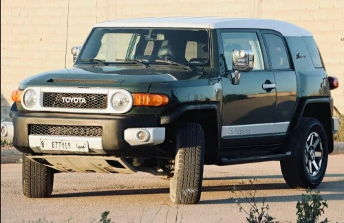 FG 2011