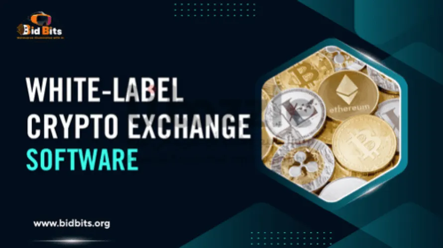 Integrate KYC/AML APIs into White Label Crypto Exchange Development