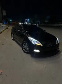 جهاد المرغني