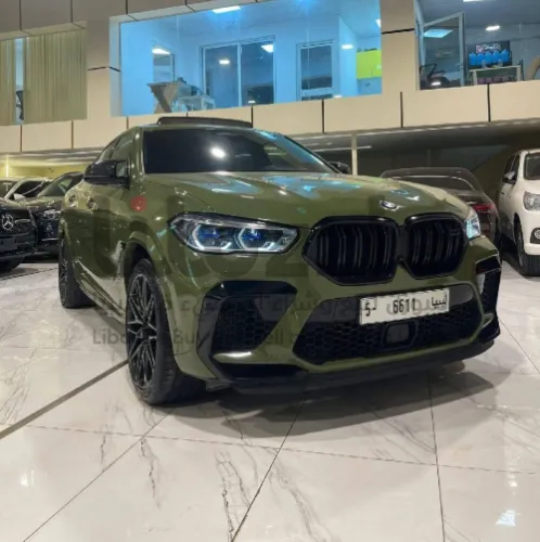 بي ام دبليو X6