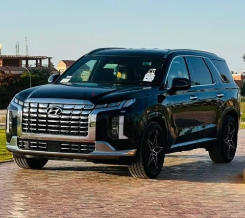 هونداي باليسايد 2020
