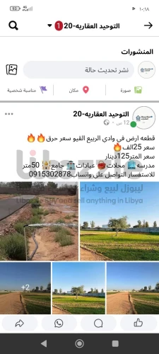 وادي الربيع القيو