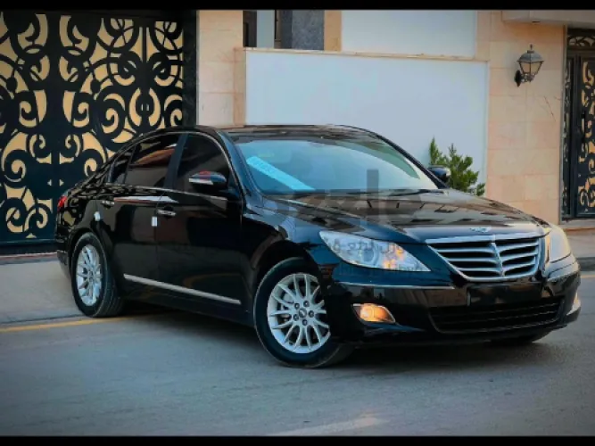 جينيسس 2010