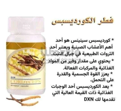 🍃 الكورديسيبس… طاقة من الطبيعة لكل يوم نشاط