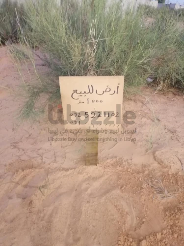 1000 متر في ساحلي تاجوراء