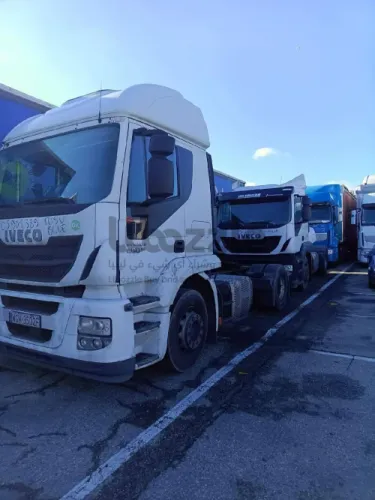 وطواط كورسا  11