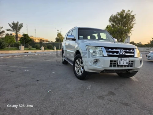 باجيرو 2014