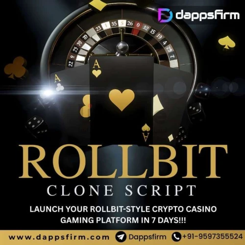 Top ROI Advantages for Entrepreneurs Choosing White Label Rollbit Clone Software