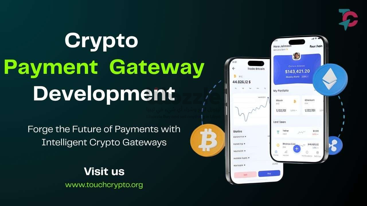 Forge the Future of Payments with Intelligent Crypto Gateways | Libozzle