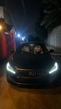 Anas El