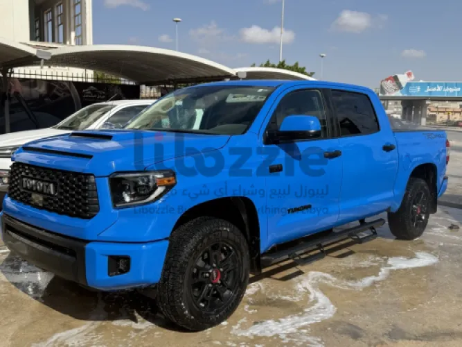 TUNDRA لون مميز
