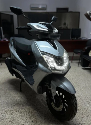 C155 صفار