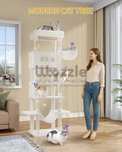 لعبة قطط 🐈🐈‍⬛ XXL